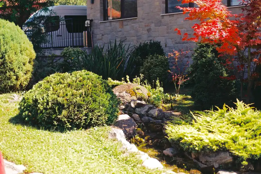 A finished garden with layered red and green foliage after planting