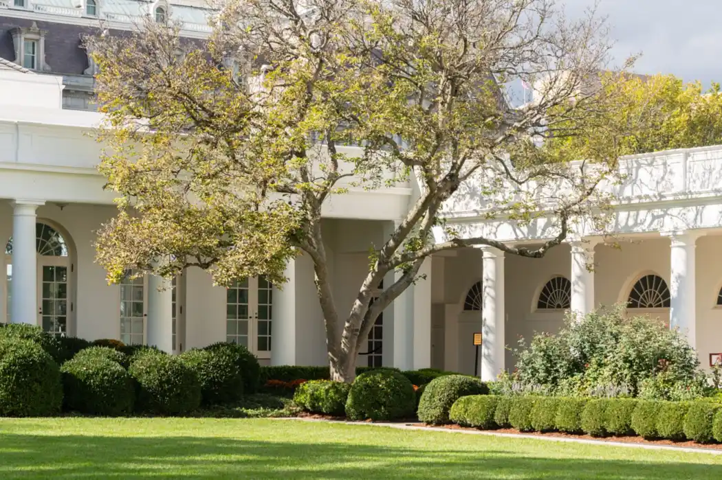 Building with finished formal landscaping