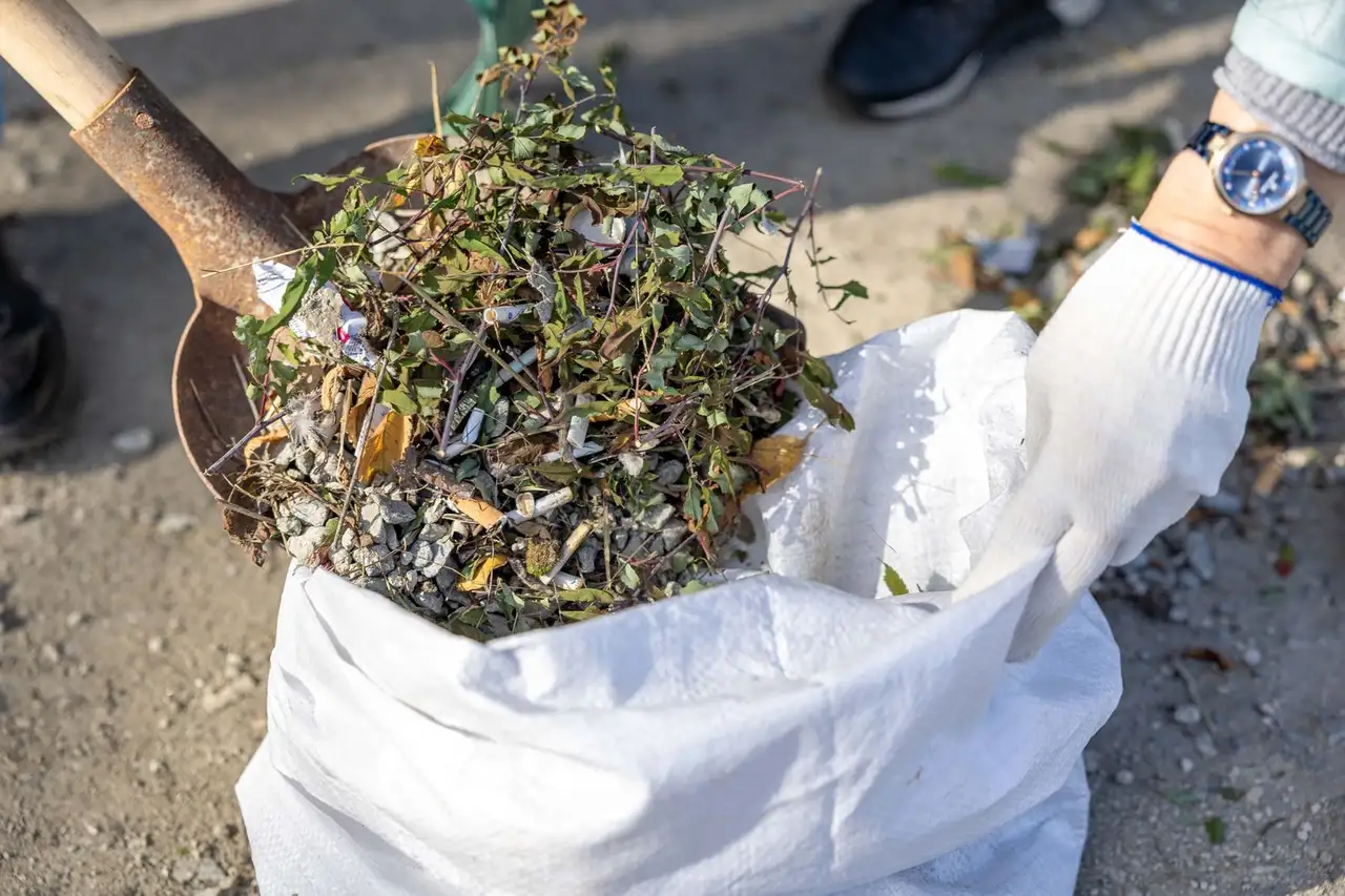 Clearing weeds from a neglected bed