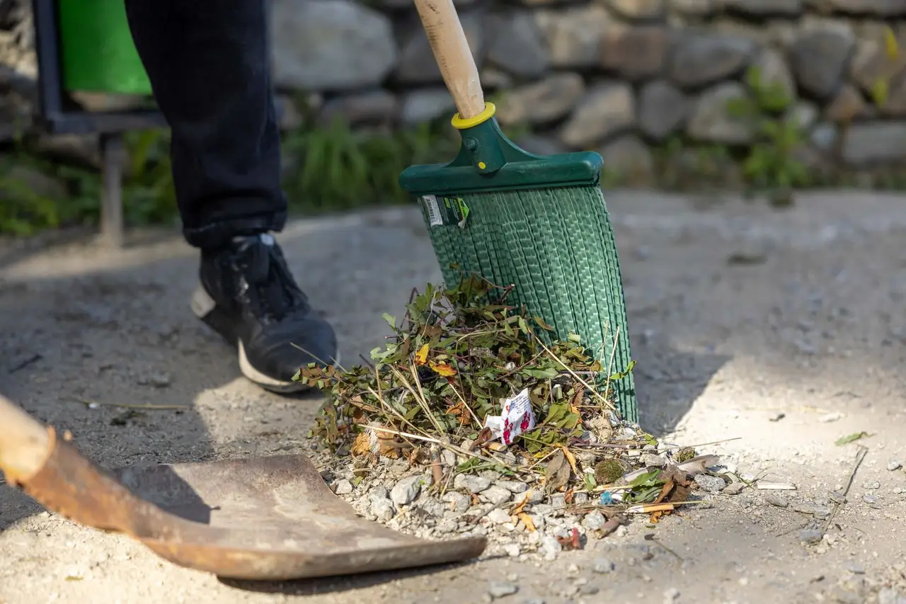 Raking leaves and debris from a yard
