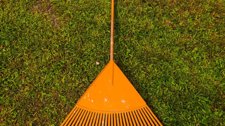 A garden rake resting on a green lawn during spring lawn care