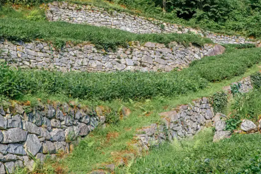 Terraced stone retaining wall