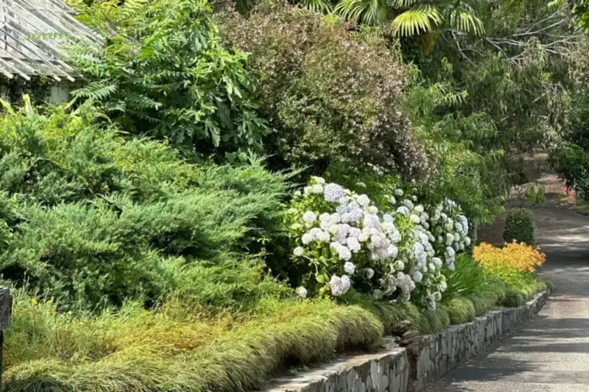 Garden pathway with stone edging