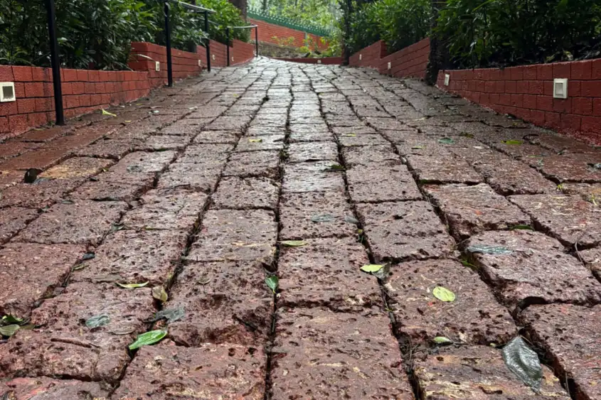 Brick path in planted border