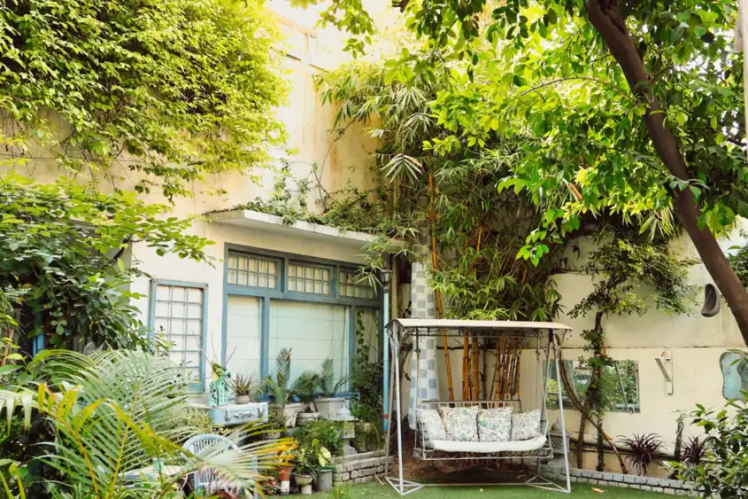 Backyard garden planting