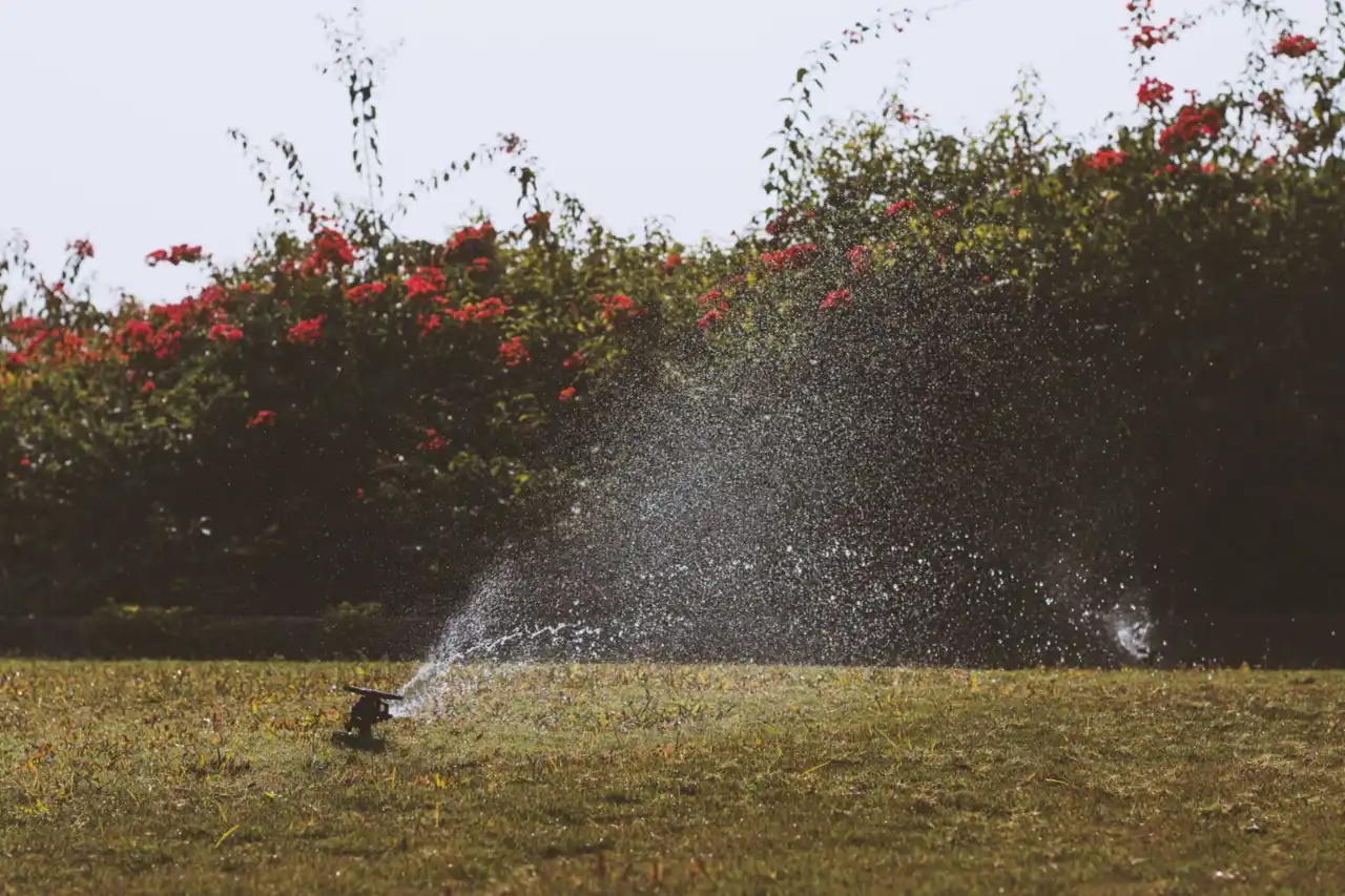 Sprinkler irrigating garden