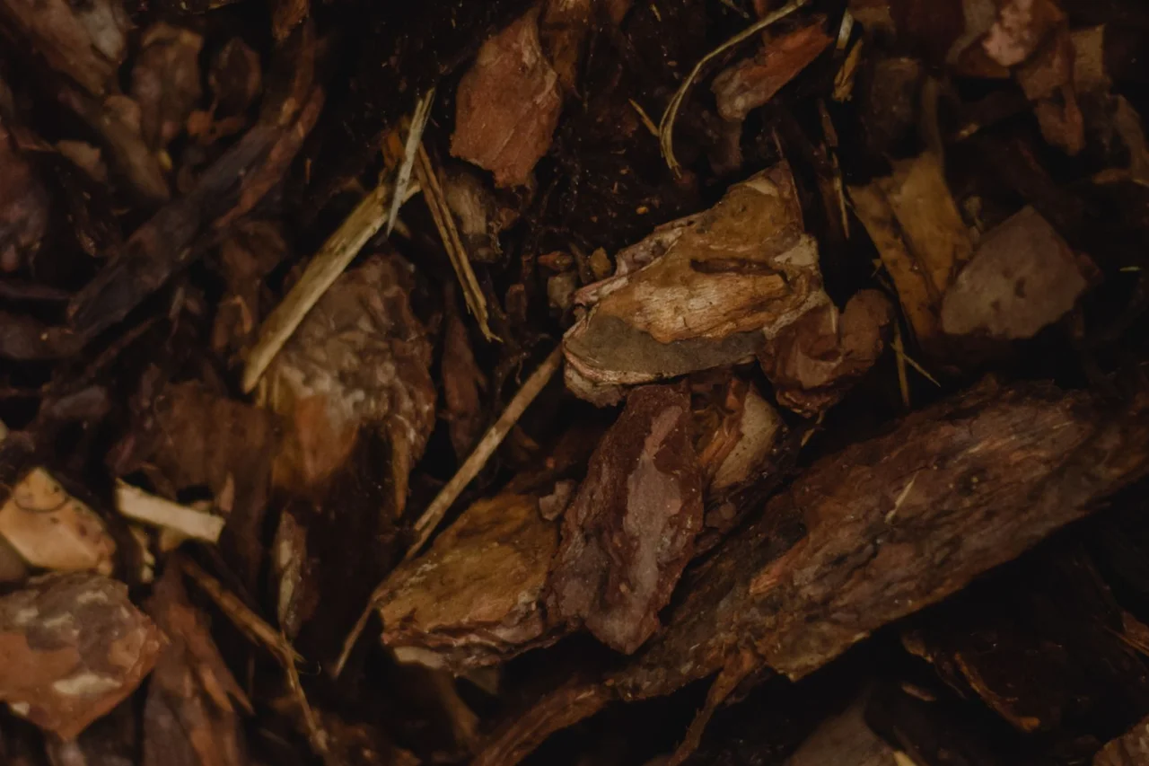 Bark and wood chip texture