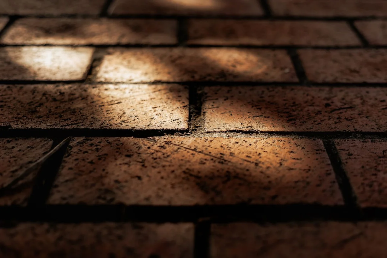 Textured brick paving