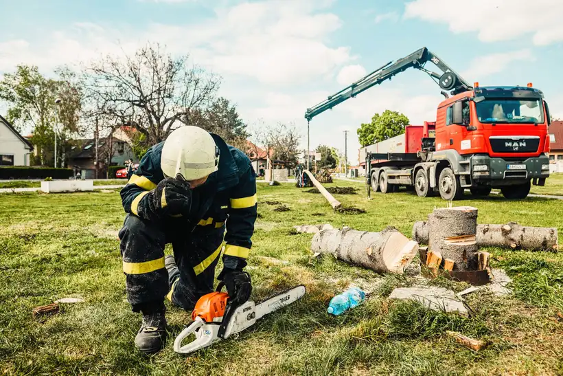 Worker with chainsaw beside cut tree sections on a lawn