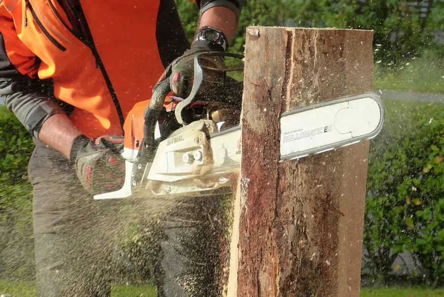 Chainsaw cutting through a tree trunk
