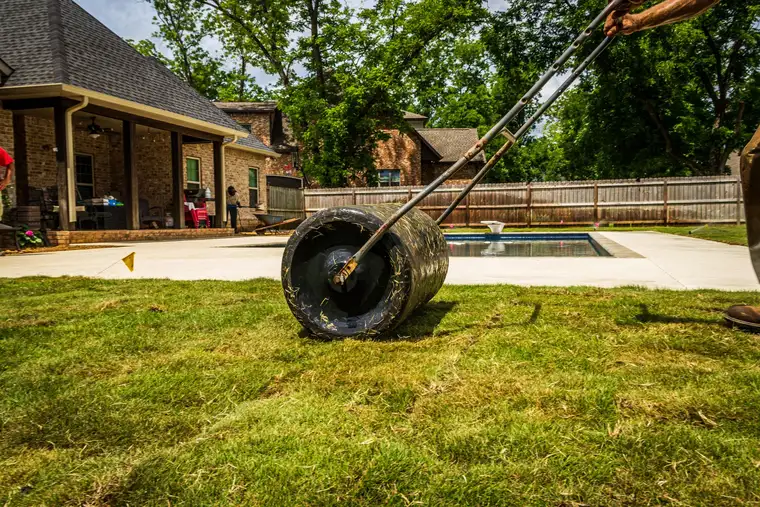 Lawn roller pressing newly laid sod in a backyard