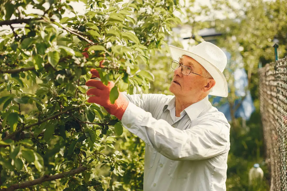 Inspecting tree branches before pruning