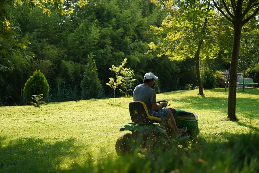 Riding mower cutting a lawn under shade trees