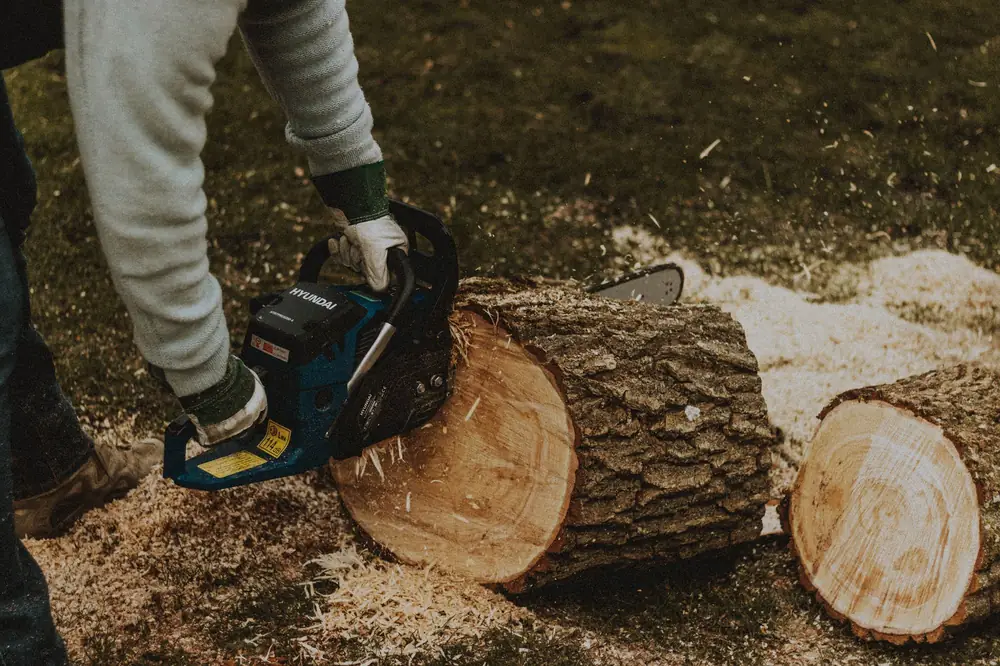 Chainsaw cutting a tree log into sections